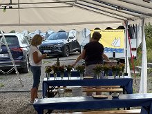 IMG_1415
